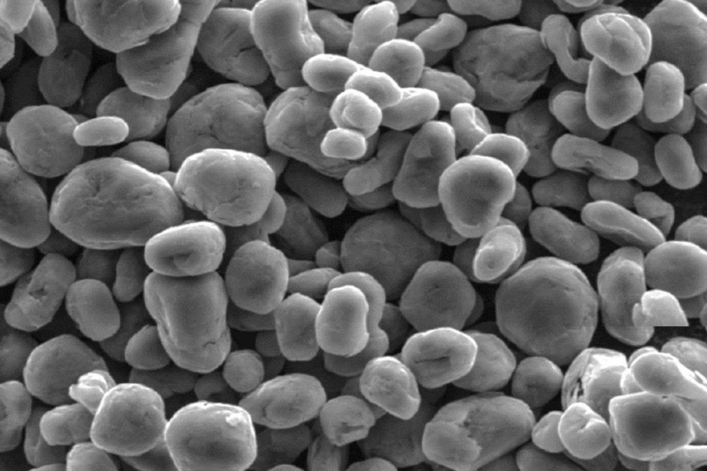 ProGraphite Amorpher Graphitpuder - Mikrokristalliner Grafit Für Schmiermittel & Industrie
